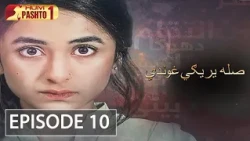 Sila Yarigi Ghunde | Episode 10 | HUM Pashto 1