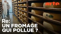 France : le comté à l'heure des comptes | ARTE Regards