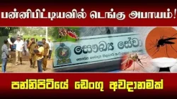 பன்னிபிட்டியவில் டெங்கு அபாயம்! கொசுப் புழுக்கள் கண்டெடுப்பு!