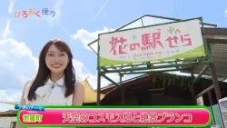 Episode 514: Hiro-Oku News - Sera Town: A Breathtaking View Across the Mountain Summit! A Cosmos ...