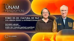 Foro 20.20: Cultura de Paz. Una mirada desde la interseccionalidad. La UNAM responde 1410