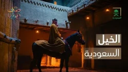 Our Homeland | Saudi Horses.. A Symbol of Authenticity and Pride 🐎