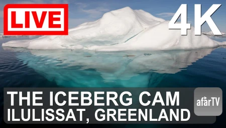 Ilulissat - Iceberg Cam in 4K
